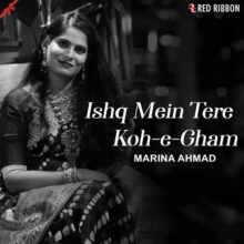 Ishq-Mein-Tere-Koh-e-Gham-Hindi-2021-20211230105826-500x500